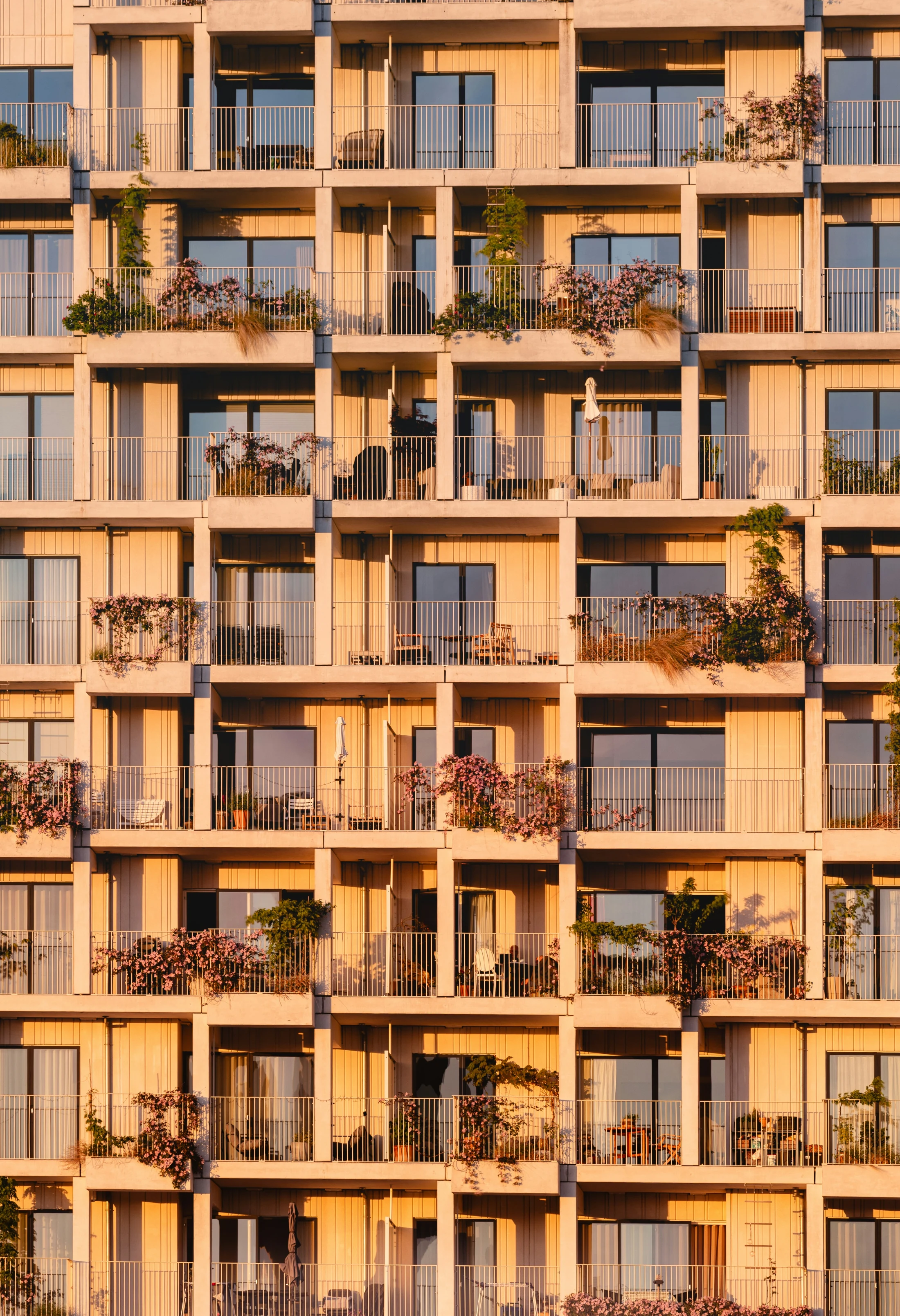 Arquitectura residencial contemporánea iluminada por el amanecer