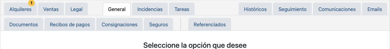 Áreas de la ficha de cliente. Recorte de pestañas; identidad y datos personales fuera de imagen.