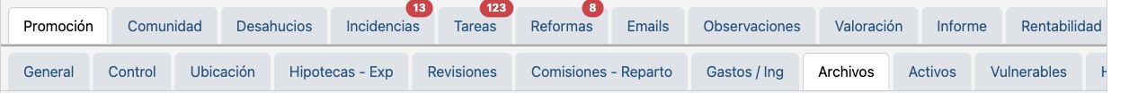 Áreas de la ficha de promoción. Pestañas de módulos; nombre y dirección de promoción fuera de imagen.